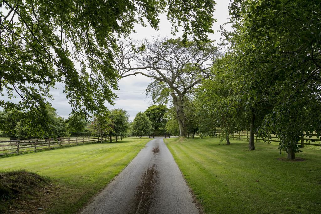 College Hill House Bed and Breakfast Slane Buitenkant foto